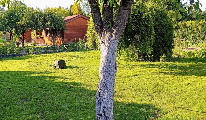 Działka rod Środa Wielkopolska