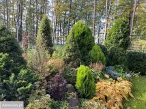 dom wolnostojący, 2 pokoje Cieszyno. Zdjęcie 4