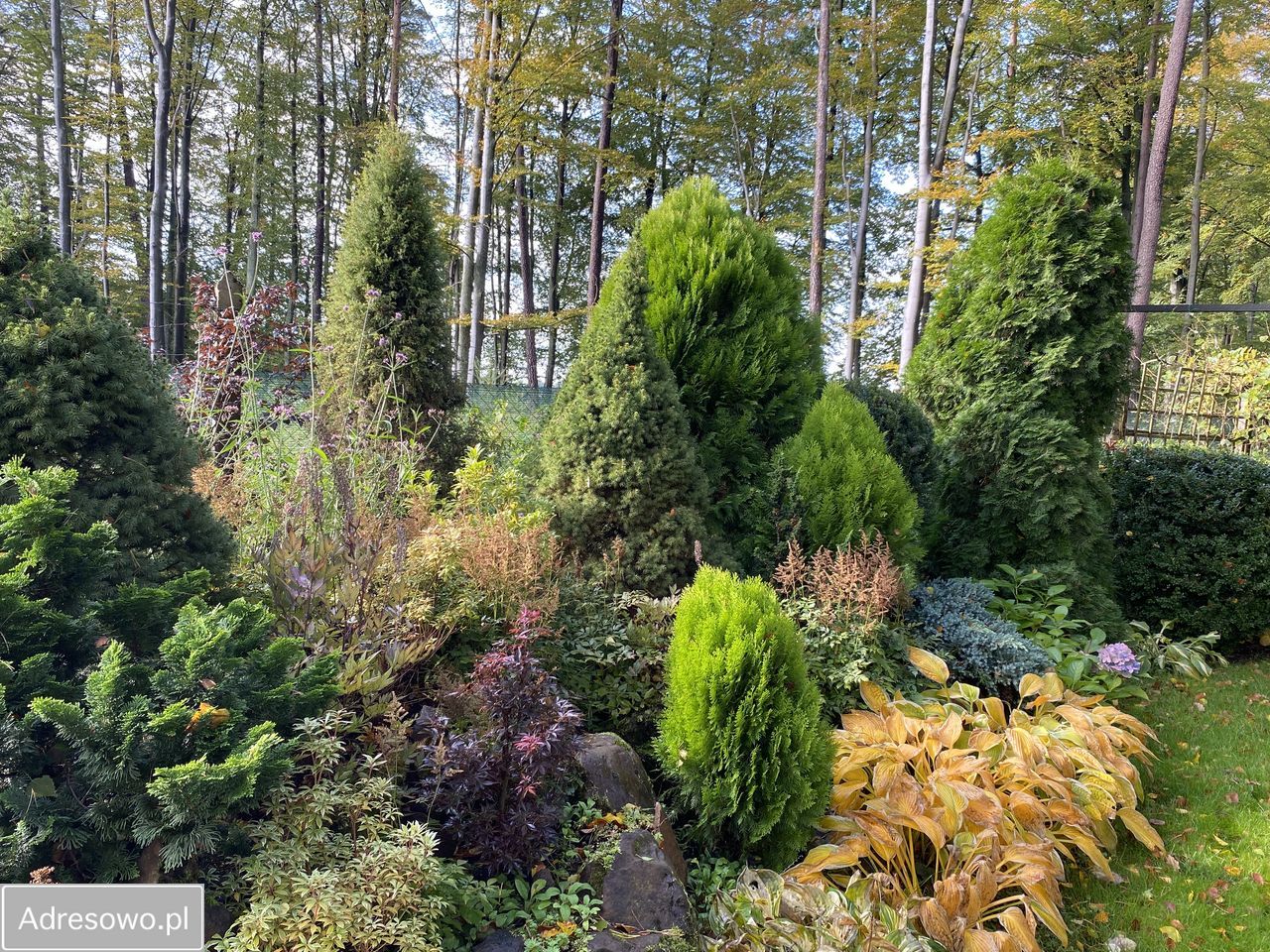 dom wolnostojący, 2 pokoje Cieszyno. Zdjęcie 5