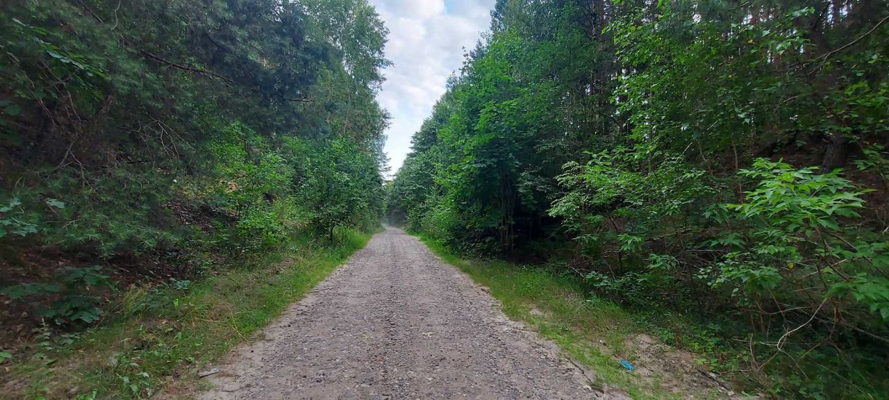 Działka leśna Dębówka. Zdjęcie 4