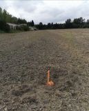 Działka inwestycyjna Lipka. Zdjęcie 2