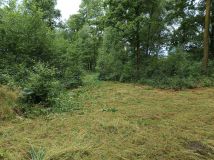 Działka rekreacyjna Teodorów