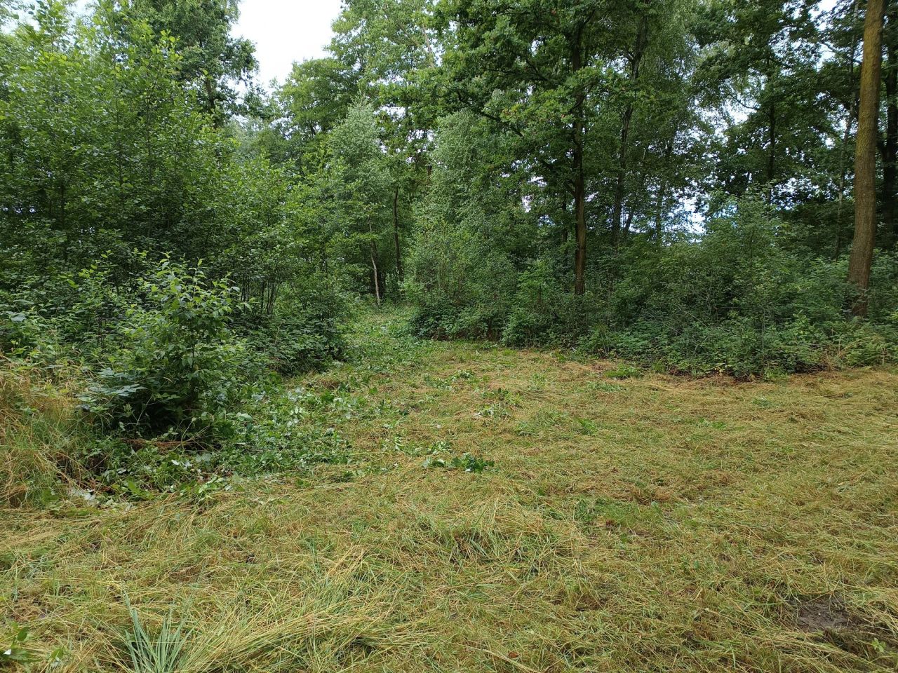 Działka rekreacyjna Teodorów