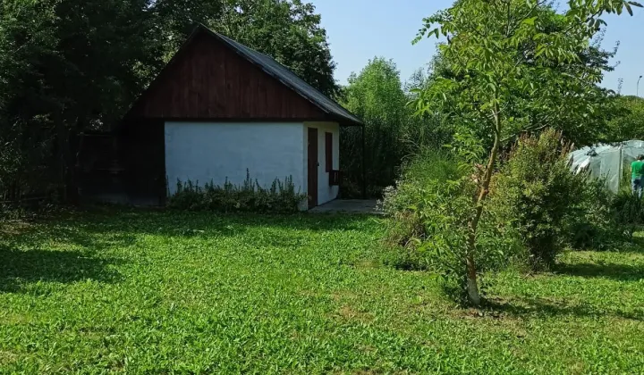 Działka rod Zamość, ul. Altanowa