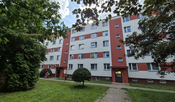 Mieszkanie 2-pokojowe Rypin, ul. dr. Wł. Cholewińskiego