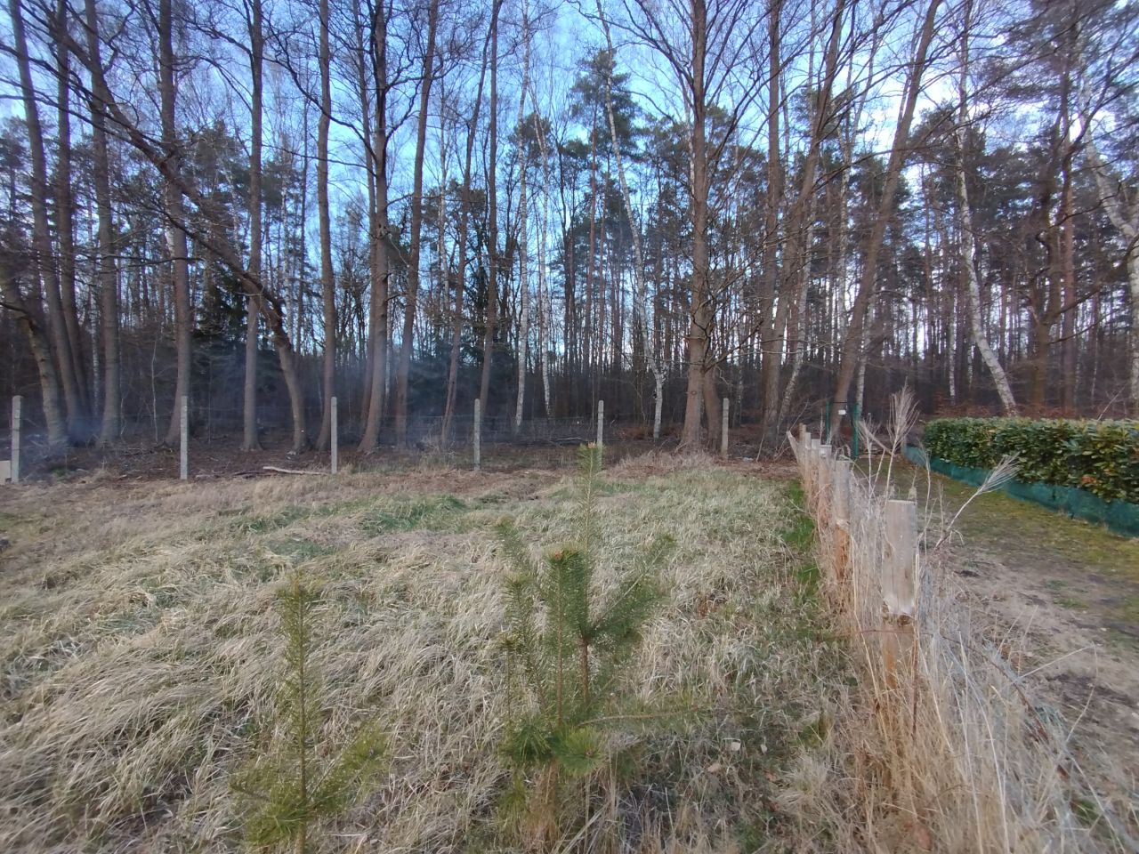 Działka rod Goleniów, ul. Polna. Zdjęcie 2