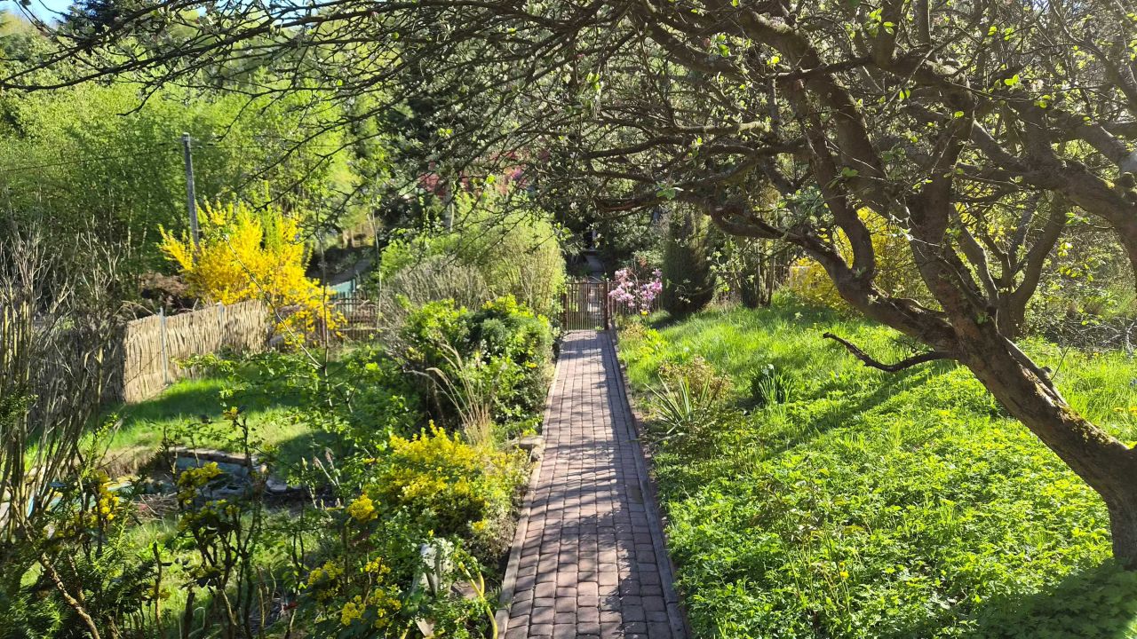 Działka rod Zabierzów. Zdjęcie 3