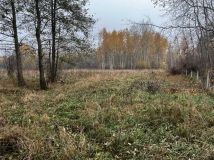 Działka budowlana Budy Zosine, ul. Dobra. Zdjęcie 1