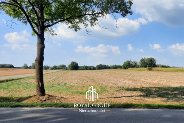 Działka rolna Rudno. Zdjęcie 7