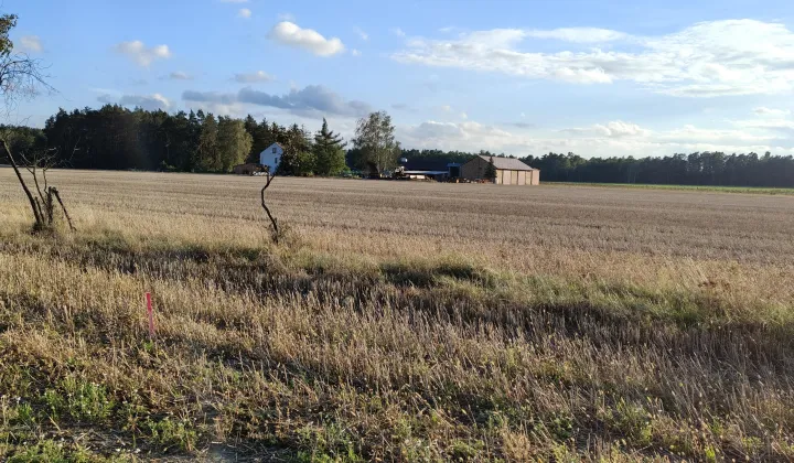 Działka budowlana Łomazy, ul. Ścianka