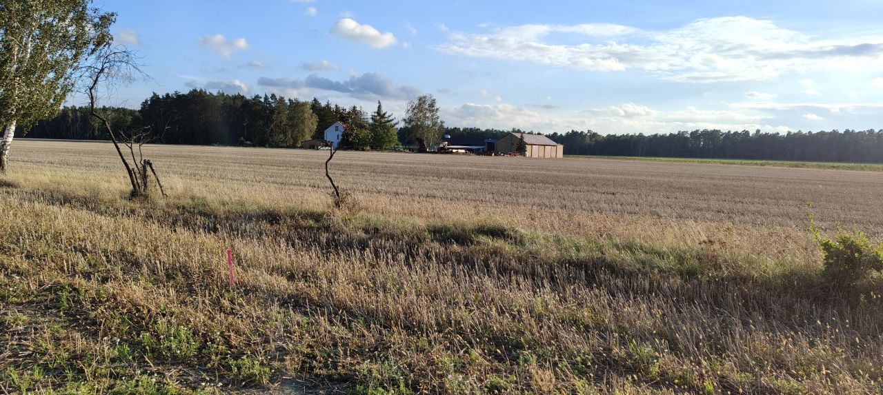 Działka budowlana Łomazy, ul. Ścianka