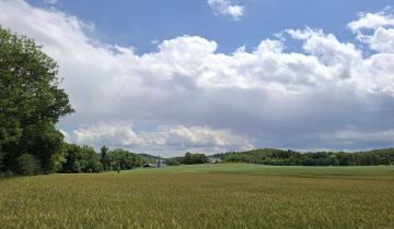 Działka siedliskowa Rybnica