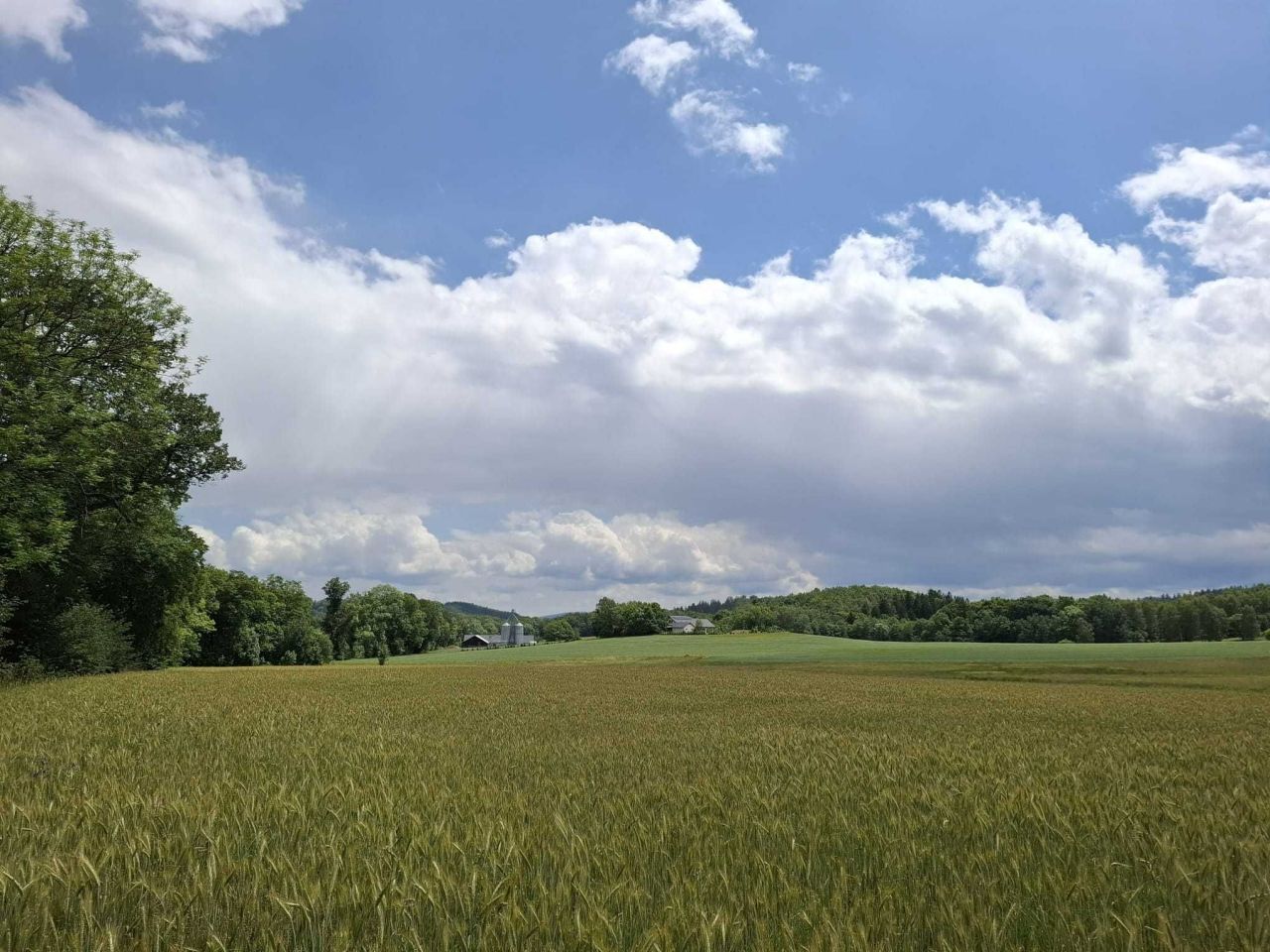 Działka siedliskowa Rybnica. Zdjęcie 2