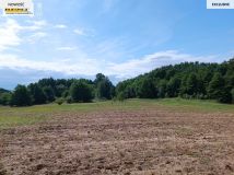 Działka rolna Długie. Zdjęcie 4