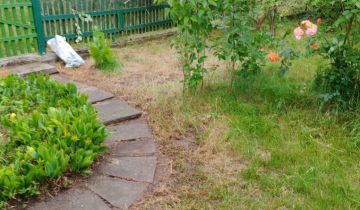 Działka rod Radom, ul. Ciborowska