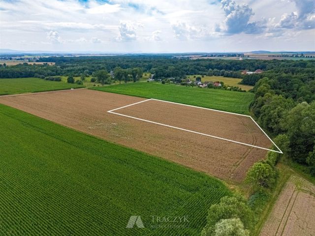 Działka siedliskowa Zachowice. Zdjęcie 11