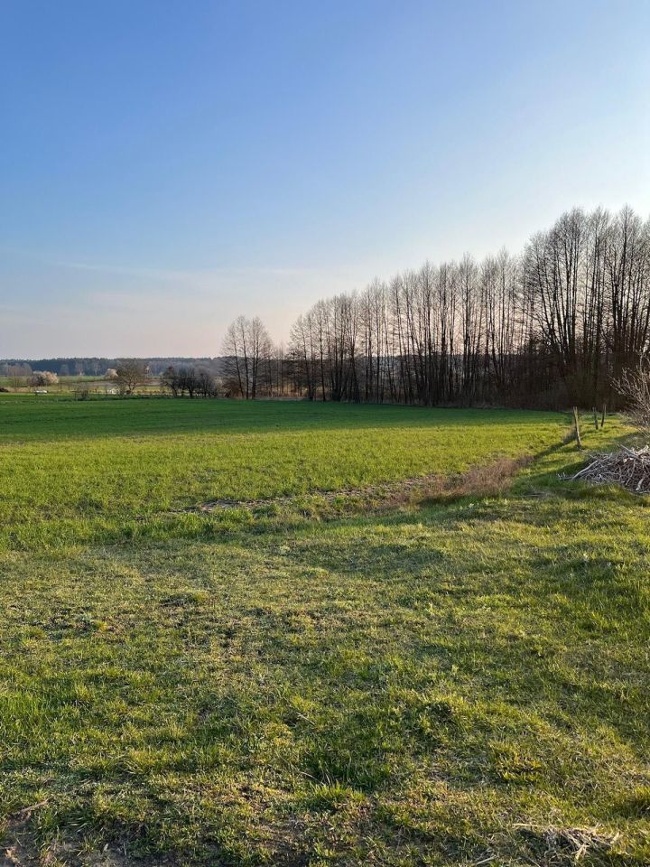 Działka rolno-budowlana Pszczew. Zdjęcie 3