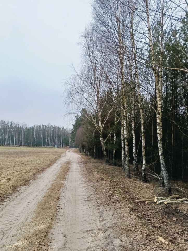 Działka inna Huta. Zdjęcie 3