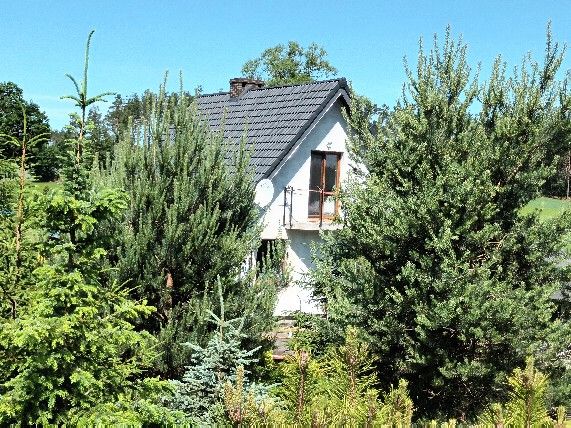 dom wolnostojący, 4 pokoje Wyrówno. Zdjęcie 2