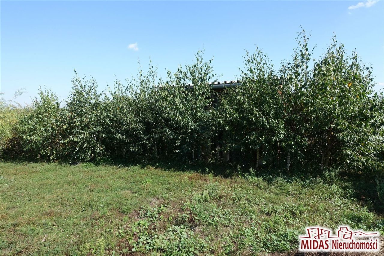 dom wolnostojący, 3 pokoje Czaple. Zdjęcie 11