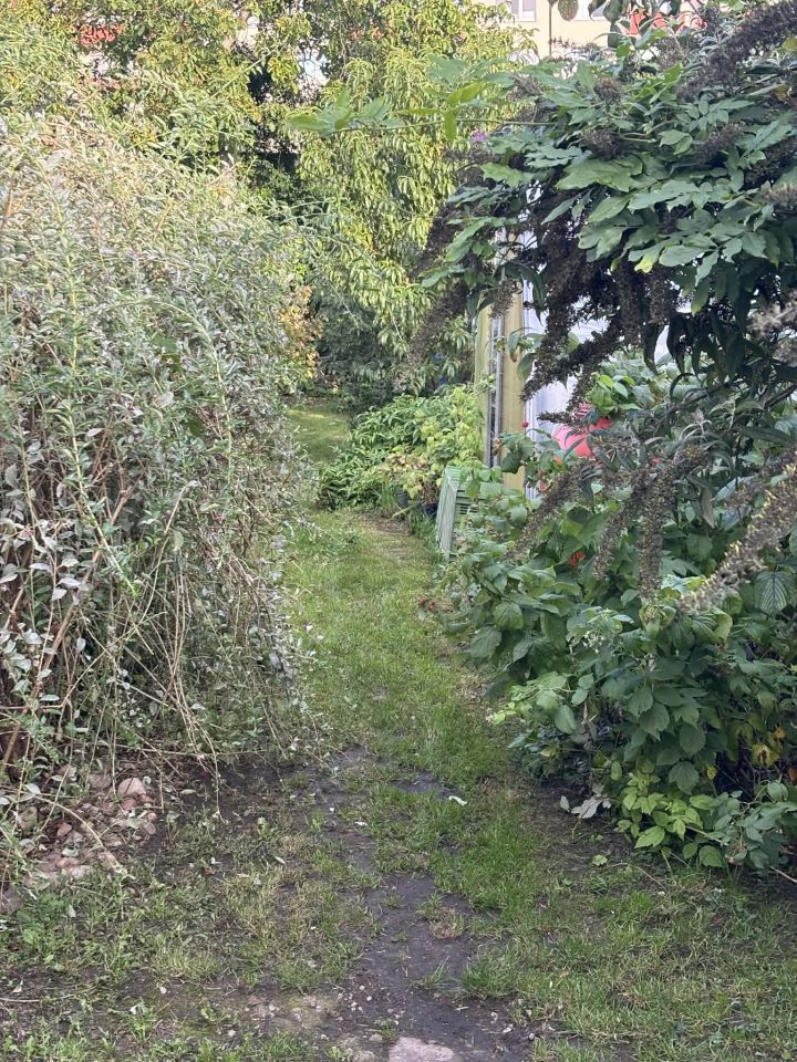 dom wolnostojący, 5 pokoi Rypin, ul. 3 Maja. Zdjęcie 37