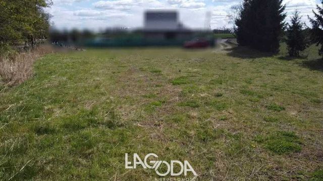 Działka budowlana Kłodawa. Zdjęcie 4