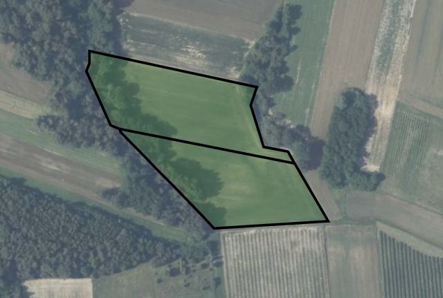 Działka rolna Pawłowice Pawłowice Górne. Zdjęcie 1