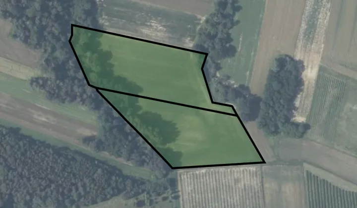 Działka rolna Pawłowice Pawłowice Górne