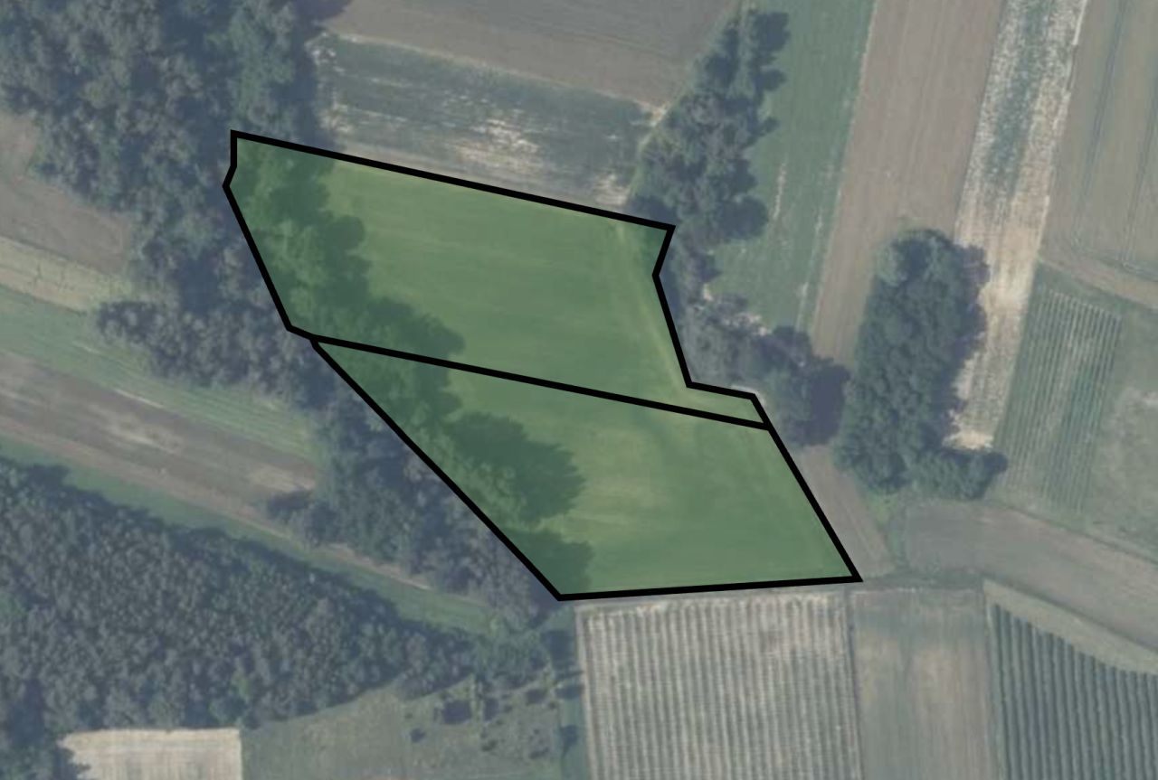 Działka rolna Pawłowice Pawłowice Górne. Zdjęcie 1
