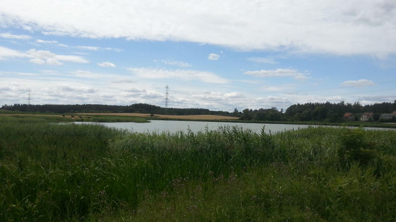 Działka rekreacyjna Kurzątki. Zdjęcie 2