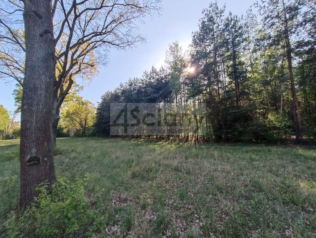 Działka budowlana Jabłonna. Zdjęcie 3