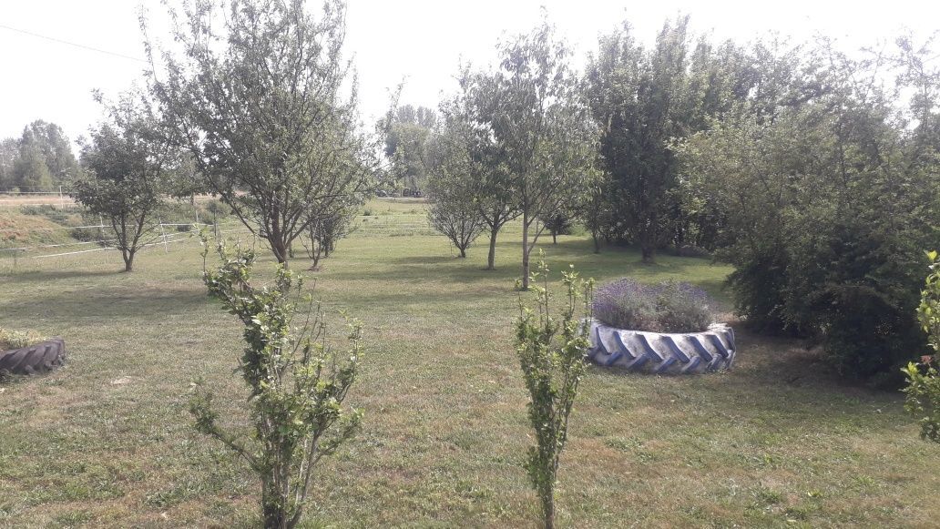 gospodarstwo Dębiec. Zdjęcie 3