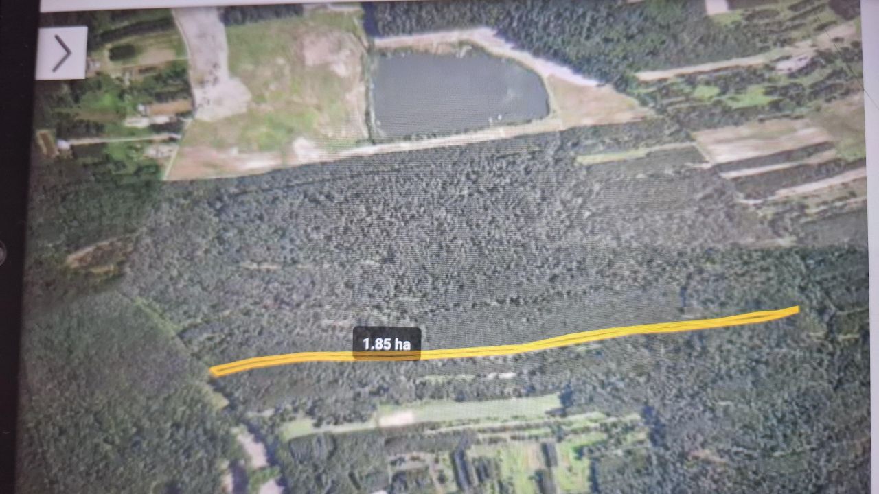 Działka leśna Rakszawa Wołochy. Zdjęcie 4