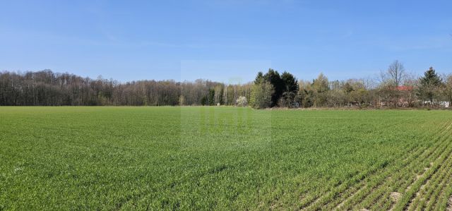 Działka budowlana Bartoszówka, ul. Strażacka. Zdjęcie 11