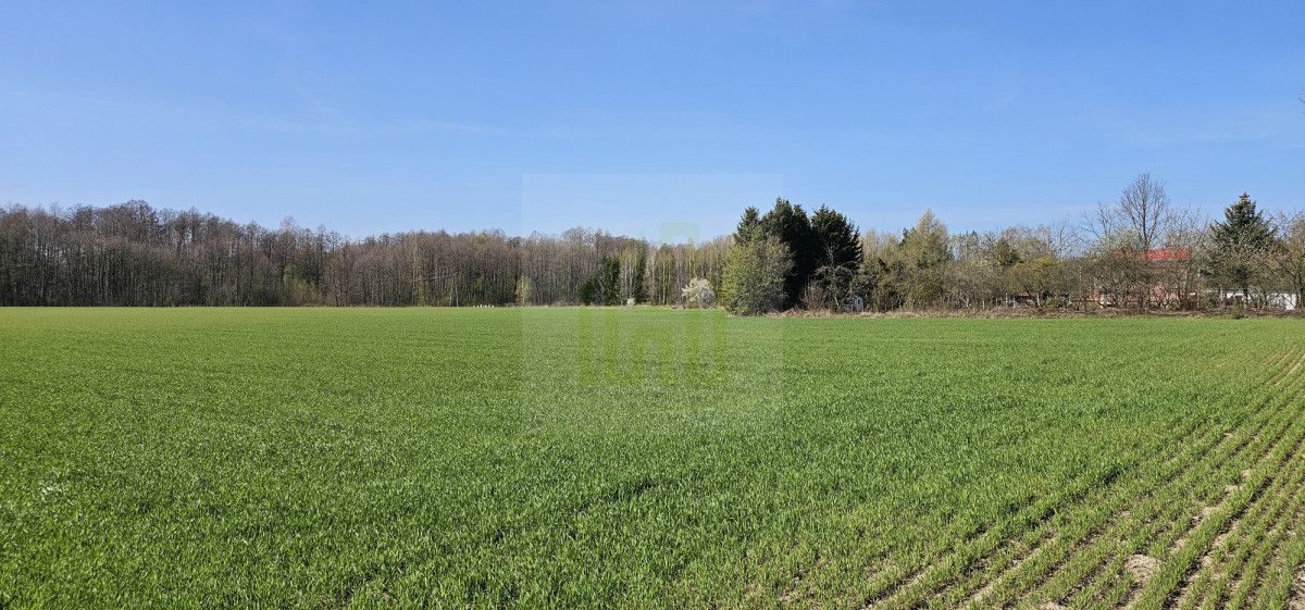 Działka budowlana Bartoszówka, ul. Strażacka. Zdjęcie 11