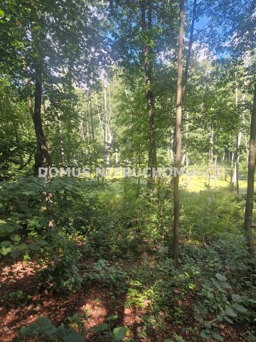 Działka leśna Nagawki. Zdjęcie 2
