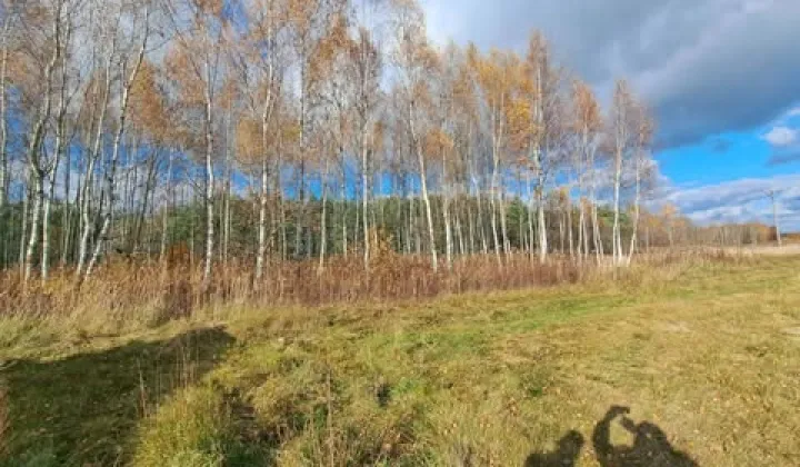 Działka budowlana Kolbuszowa Dolna, ul. Sosnowa