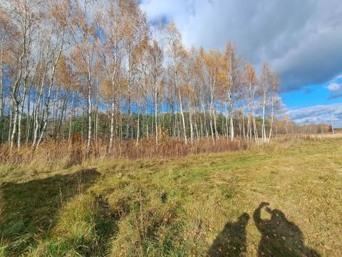 Działka budowlana Kolbuszowa Dolna, ul. Sosnowa. Zdjęcie 1