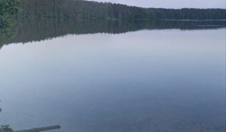 Działka leśna Kościerzyna