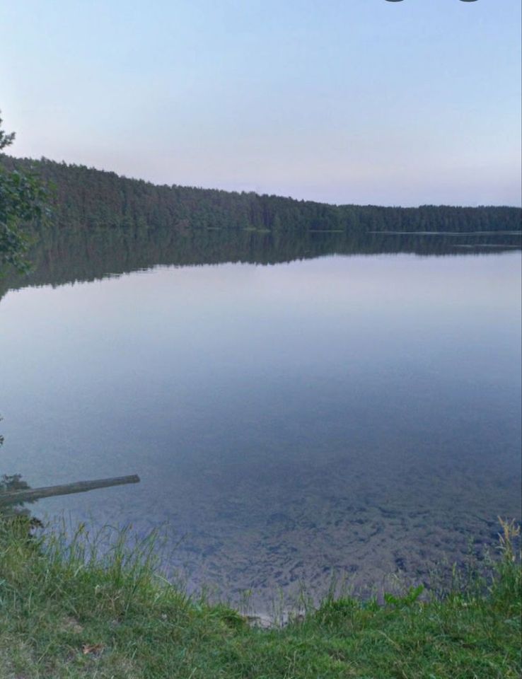 Działka leśna Częstkowo. Zdjęcie 1