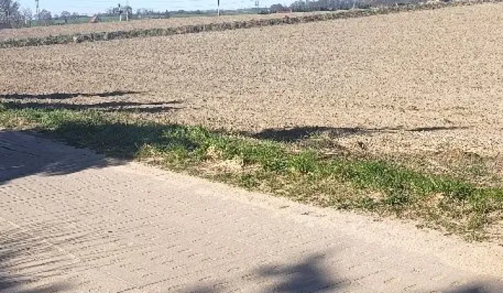 Działka budowlana Tokary, ul. Lipowa