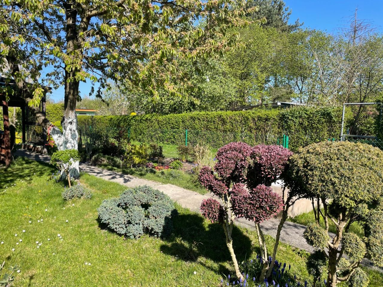 Działka rod Gliwice Śródmieście, ul. Nadrzeczna. Zdjęcie 3