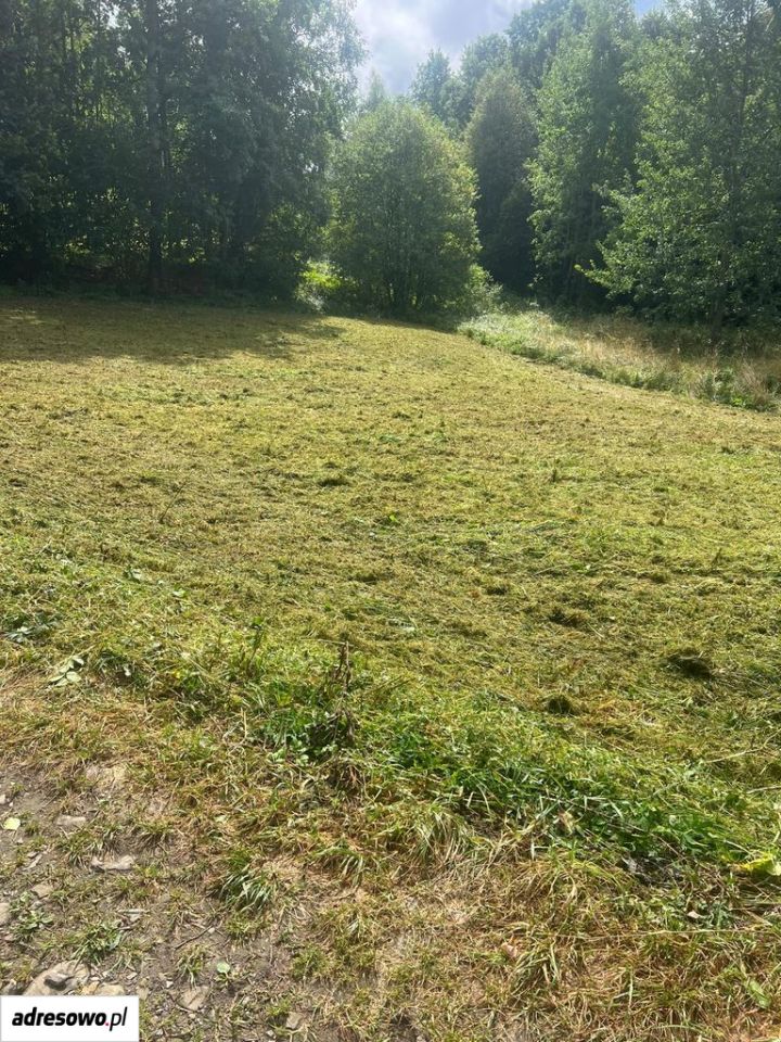 Działka rolna Dobra. Zdjęcie 8