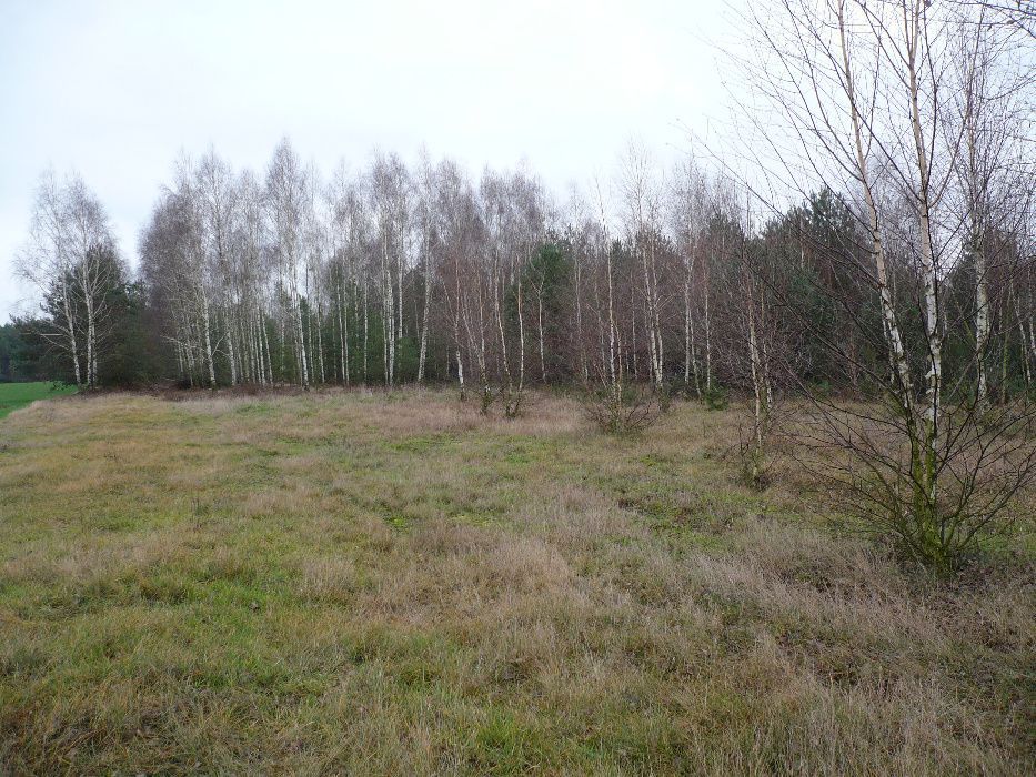 Działka rekreacyjna Łask. Zdjęcie 6