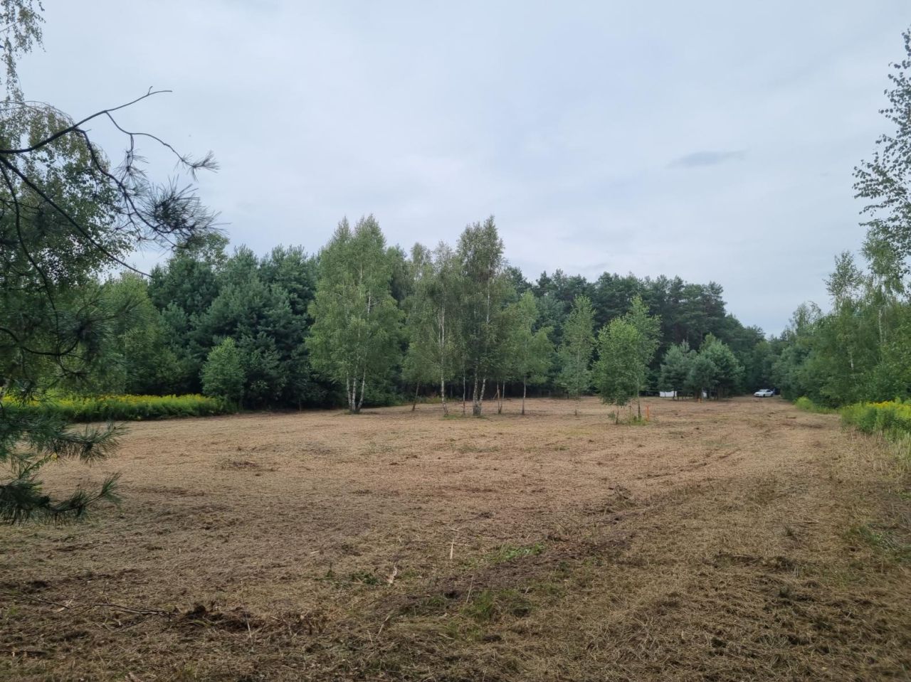 Działka rolna Dębinki, ul. Cicha. Zdjęcie 8