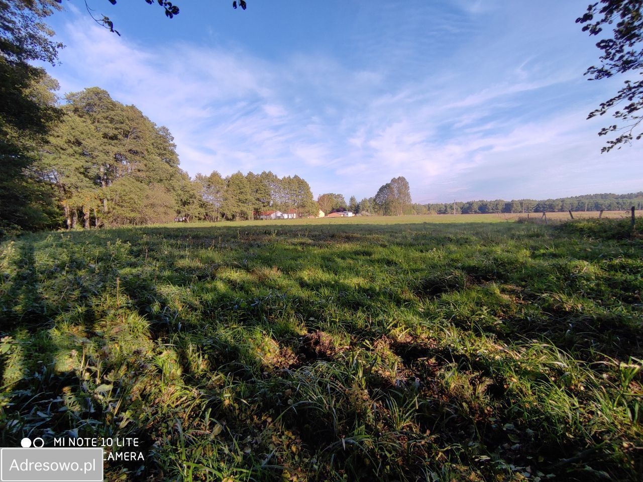 Działka rolno-budowlana Wiewiórowo. Zdjęcie 7
