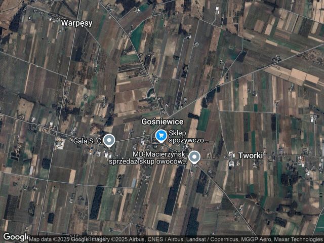 Działka rolna Gośniewice. Zdjęcie 1