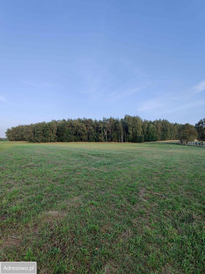 Działka budowlana Komorniki. Zdjęcie 4