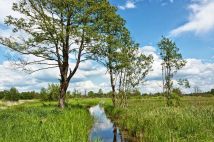 Działka rekreacyjna Sadowne. Zdjęcie 2