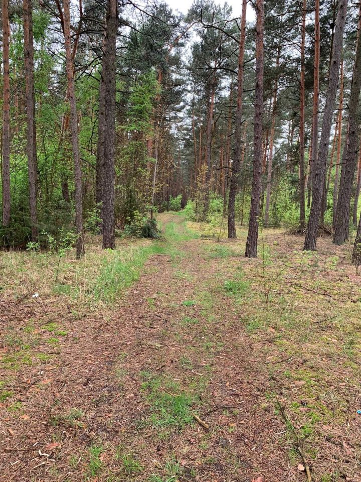 Działka leśna Gulczewo. Zdjęcie 5